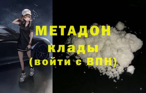 шишки Сясьстрой