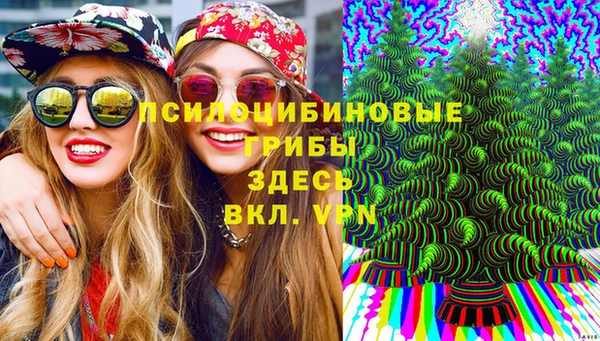 хмурый Надым